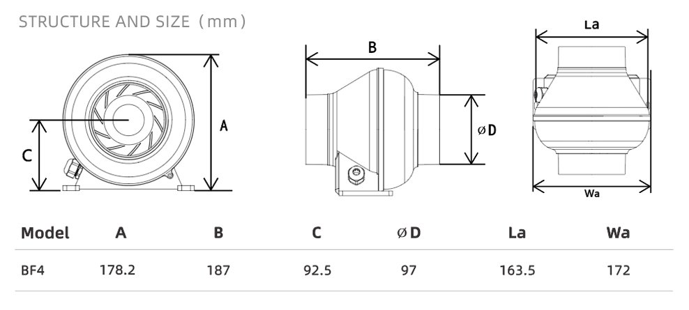 BF4 structure and size